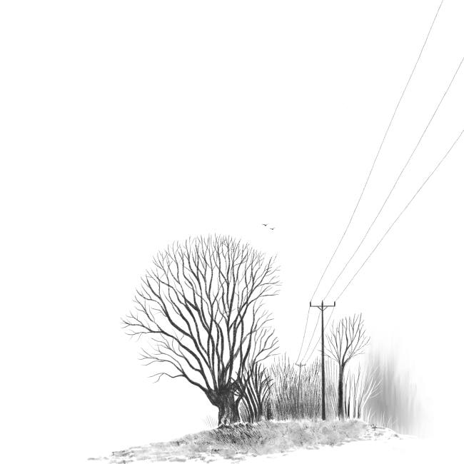 THE NOTHING WE GAVE Internal Art 2